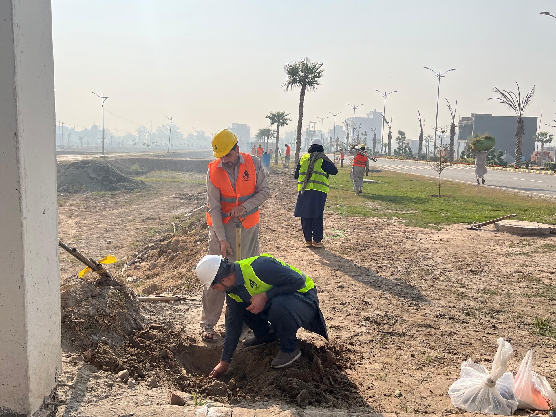 Team of workers in high-visibility vests planting trees along the main boulevard, December 2024