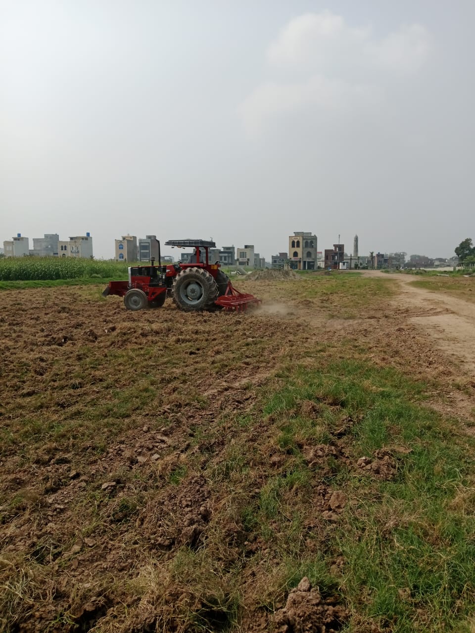Phase 2 land clearing